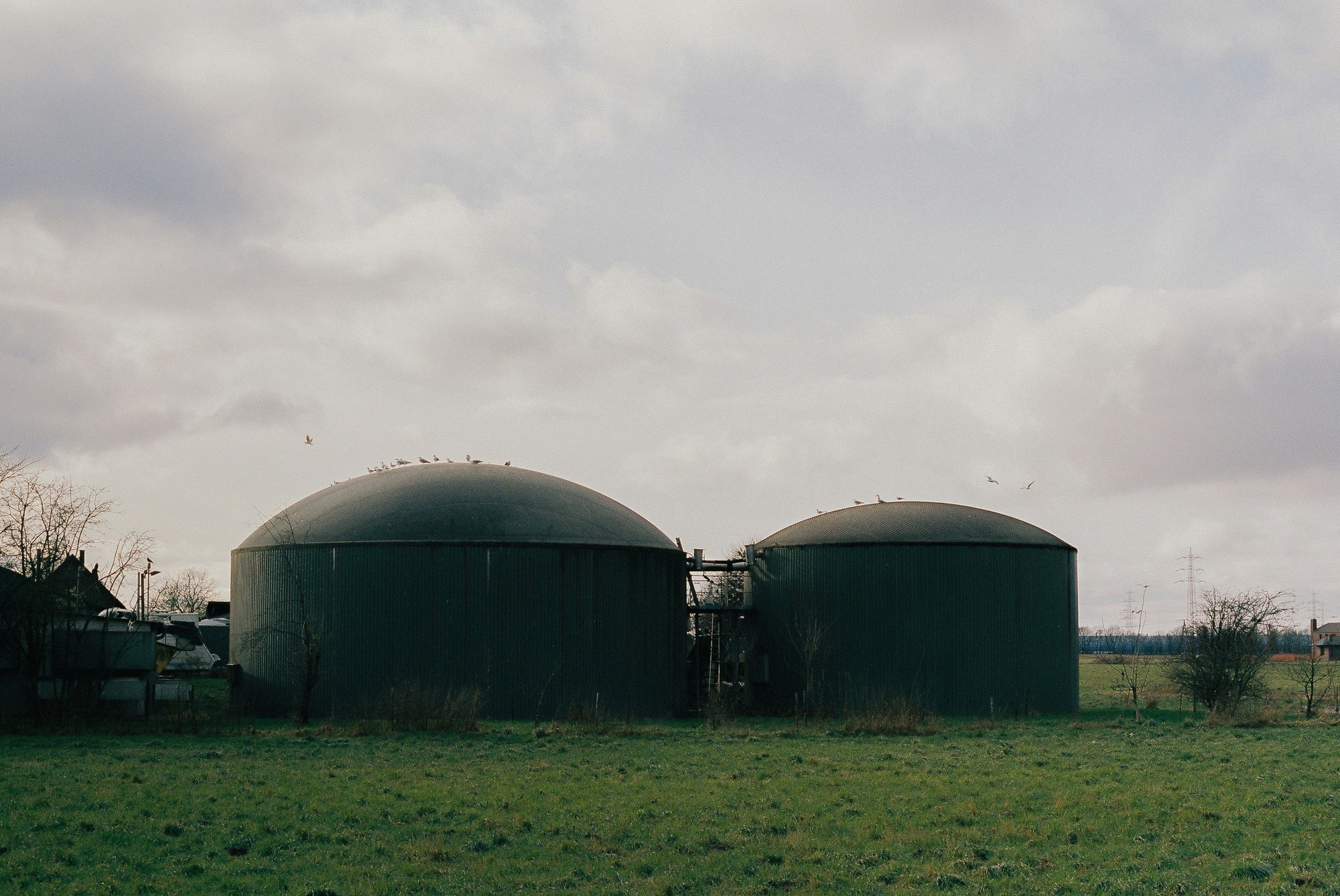 Is Your Rainwater Safe to Drink? What’s Lurking in Your Tank (and How to Fix It)