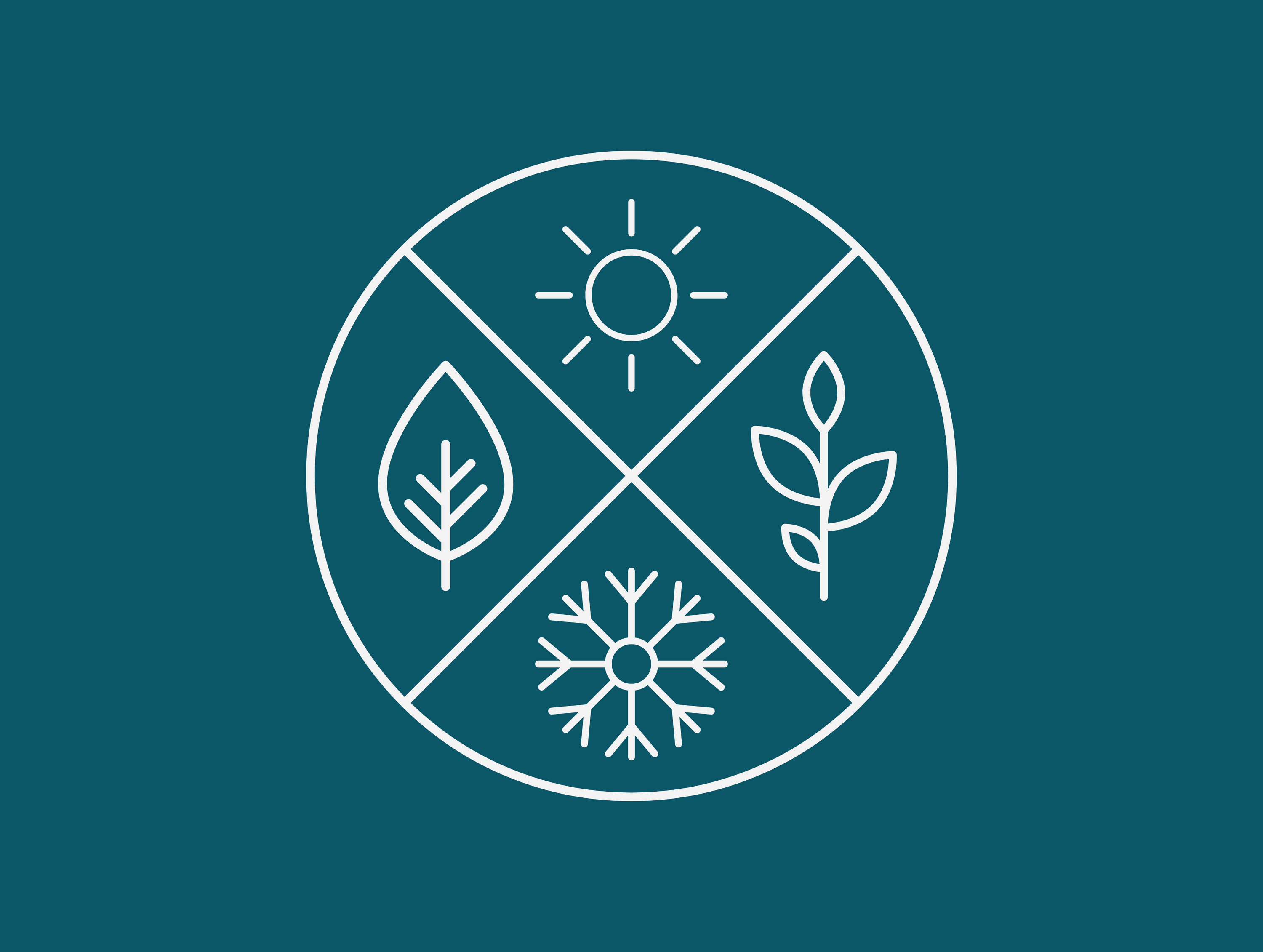 Stay Hydrated All Year Round: Essential Seasonal Hydration Tips