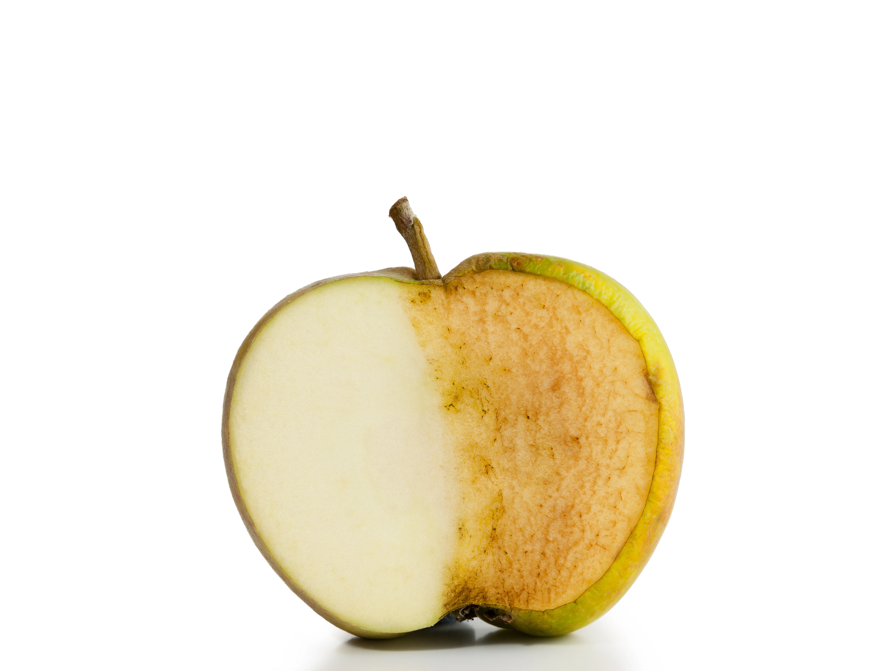 Understanding Oxidation-Reduction Potential (ORP) and the Role of Water in the Body