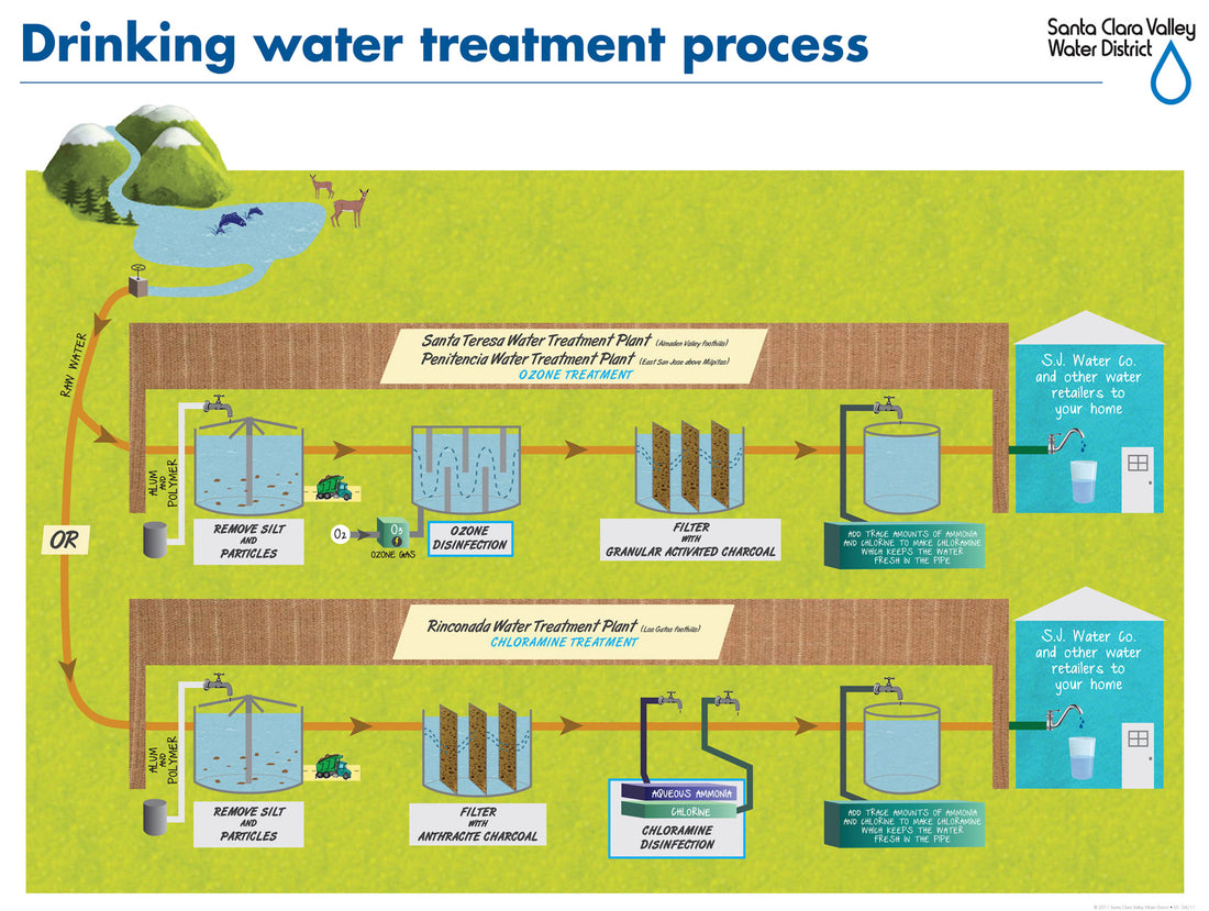 Treatment of public water supplies in NZ