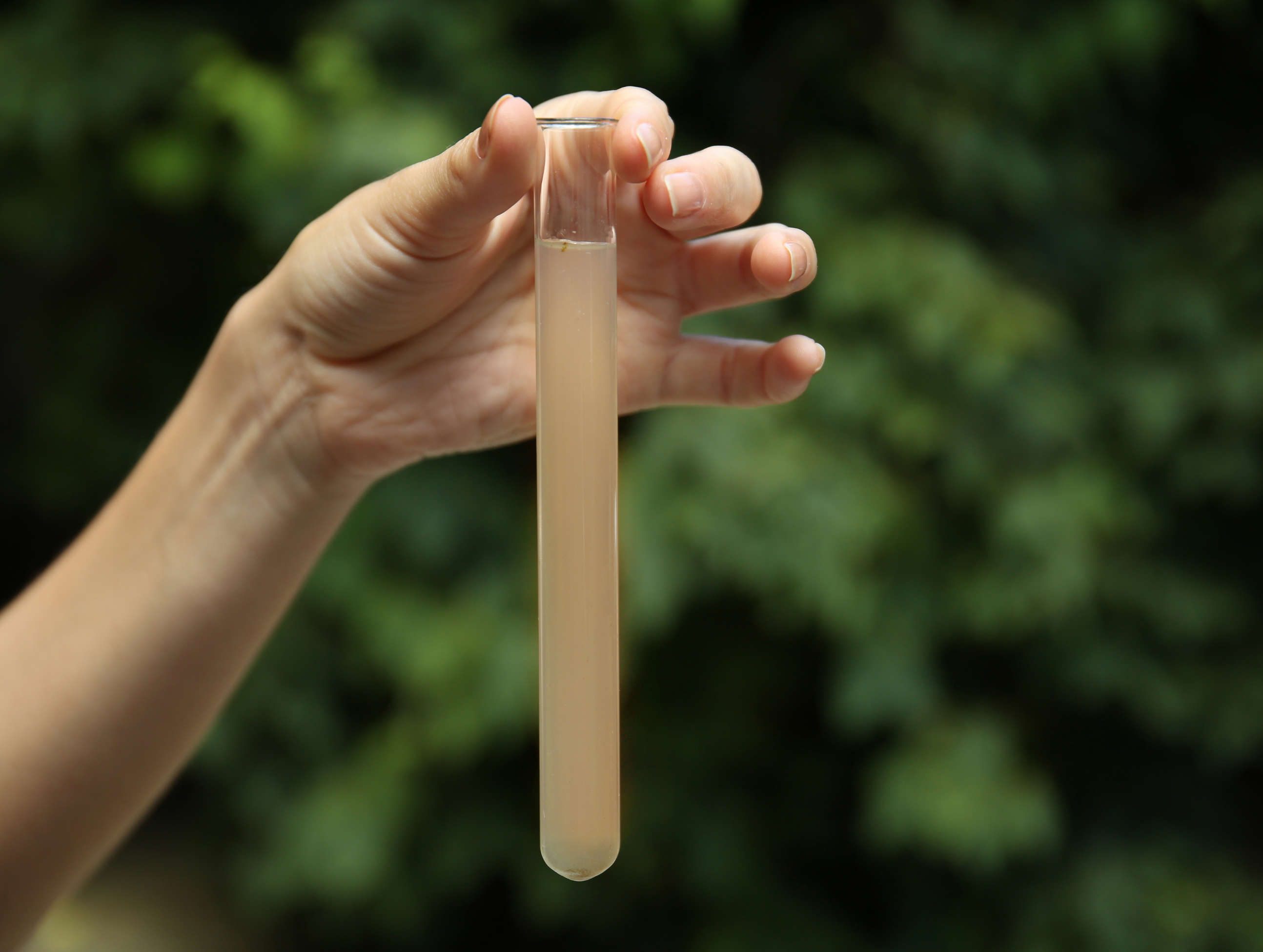 Micron Ratings and Living Organisms