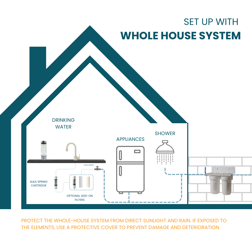 Ionza Complete Home Lifespring